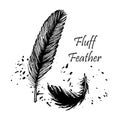 Feather down bird drawing Feather Hand drawn Sketch Isolated on white